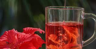 hibiscus thee bloeddruk