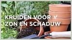 keukenkruiden kweken