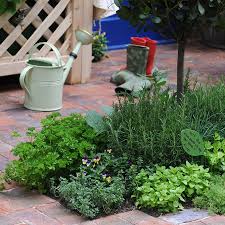 kruiden voor in de tuin